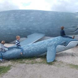 park Wieloryba