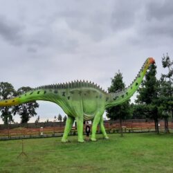 Dinopark Wrzosowo